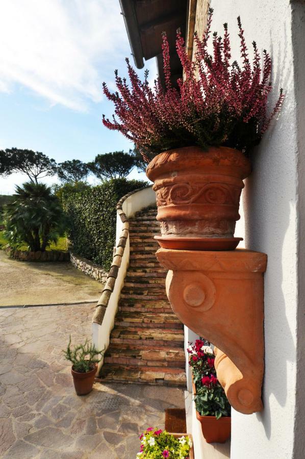 Pepe Guest House Rome Extérieur photo