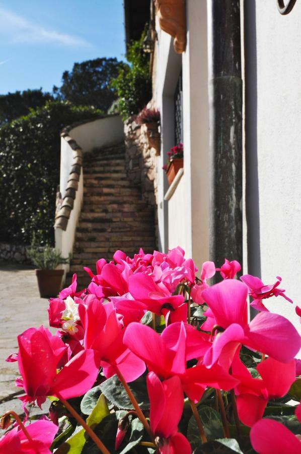 Pepe Guest House Rome Extérieur photo